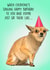 Funny Birthday Card - Awkward Chihuahua - Sat There Like.... created by Poppy & Mabel