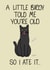 Funny Birthday Card | Cat Lover | Comical Cards created by Quirky Doodles
