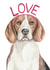Cute Valentine's Day Card - Beagle - Love created by lil wabbit