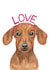 Cute Valentine's Day Card - Dachshund - Love created by lil wabbit