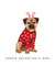 Cute Valentine's Day Card - Border Terrier - From the Dog created by badgerbee design