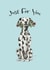 Cute Birthday Card - Dalmatian With Roses - Just For You created by Teds'n'Tails