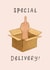 Funny Birthday Card - Special Delivery - Middle Finger created by Swish & Scribble