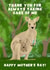 Cute Mother's Day Card - Thank You For Always Taking Care Of Me - Kangaroos created by Pink Peach Cards