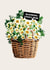 Pretty Mothers Day Card - Floral - Daisies Basket created by Folio | Ian Owen