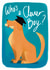 Cute Graduation Card - Dog Graduate - Who's A Clever Boy created by Pretty Pretty Bad