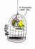 Funny Cartoon Valentine's Card - For Significant Other - Budgie Mirror created by Cardinky