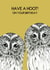Cute Birthday Card - Have A Hoot! - Owls created by Perkins & Morley