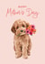 Cute Mother's Day Card - Cockapoo created by Debbie Daley Illustrations