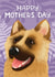 Cute Mother's Day Card - German Shepard created by Hollie McManus Illustration