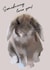 Cute Bunny Love Card – Somebunny Loves You – Adorable Illustration created by Freya Fuller
