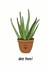 Aloe There Every Day Occasion created by Keely Tyler
