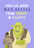 Funny Birthday Card - Shrek and Donkey - You've Aged Better created by Sian Moore Illustration