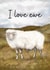 Cute Love & Friendship Card - I Love Ewe - Sheep created by Hello Fridays Studio