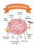 Funny Birthday Card - The Boyfriend Brain created by Evie Garnett Designs