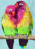 Cute Just Because Card - Love Birds created by Greg Stephenson