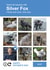 Funny Father's Day Card – Select the Squares – Silver Fox created by Paul Stevens