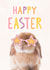 Pretty Easter Bunny Card - Fun Happy Easter Card - Bunny Easter Card For Her created by @hollielonglanddesigns