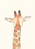 Cute Birthday/Just Because Card - Giraffe - Watercolour created by Becca Hall illustration