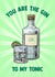 Fun Anniversary Card - You Are The Gin - To My Tonic created by Poppy & Mabel
