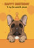 Cute Birthday Card - French Bulldog - From The Dog created by Choo Choo 