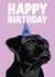 Cute Birthday Card - Black Pug created by Hello Sausage
