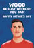 Nottingham Forest FC Father's Day Card - Chris Wood - Wood Be Lost Without You! created by Giddy Kipper