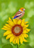 Arty Birthday Card - Bird - Sunflower created by Sharonflemingart