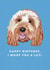 Cute Birthday Card - Card From The Dog - Woof You A Lot created by Sweetlove Press