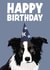 Cute Birthday Card - Collie Dog - Happy Birthday created by Hello Sausage