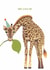 Cute Birthday Card - Giraffe - Have A Wild Day created by Arthur & Bear