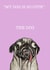 Funny cute pug card created by C.W ILLUSTRATIONS 