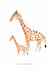 Cute New Baby Card - Giraffes - New Arrival created by Fiona Fawcett