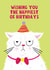 Cute Birthday Card - Grumpy Cat - Wishing You The Happiest Of Birthdays created by Lucy Maggie Designs