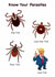 Funny Trump Birthday Card - cheeky rude joke for friends Dad male female created by Swizzoo