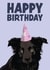 Cute Birthday Card - Black Collie Dog - Happy Birthday created by Hello Sausage