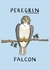 Punny Just Because Card - Peregrin Falcon - Pun created by Carl Batterbee