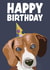 Cute Birthday Card - Party Beagle created by Hello Sausage