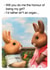 Cheeky Birthday/Anniversary Card - Rabbits - I'd Rather Sh*t An Organ created by Brainbox Candy