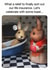 Funny Birthday Card - Rabbits - Toaster created by Brainbox Candy