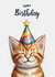 Cute Cat Birthday Card - Ginger Tabby - For Mum, Dad or Pet Lover created by Neil Thurlwell