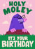 Cute Birthday Card - Holy Moley created by Matt Joyce