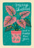 Pretty Christmas Card - Poinsettia created by Olga Kondyleva