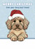 Cute Christmas Card - Cockapoo - Furry Best Friend created by Choo Choo 
