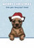 Cute Christmas Card - Border Terrier - Furry Best Friend created by Choo Choo