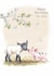 Cute Birthday Card - Lamb And Piglet - Farm created by Paper Shed Design