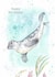 Cute Birthday Card - Seal - Underwater created by Paper Shed Design