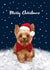 Cute Christmas Card - Yorkshire Terrier - Yorkie Dog created by Debbie Daley Illustrations