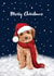 Cute Christmas Card - Merry Christmas - Cockapoo Dog created by Debbie Daley Illustrations