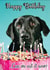 Labrador Eating Cake Card–Funny Dog Birthday Card Mum, Dad, Son, Daughter created by PersonalPolly
